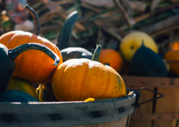 Festive Halloween Events near Antioch